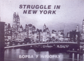 Zoran Popović: Struggle in New York / Borba u Njujorku
