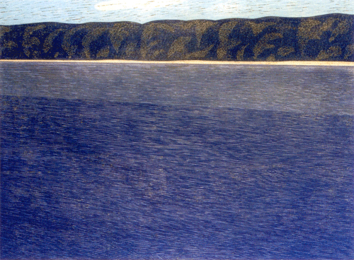 Dimitrije Pecić: Dunav