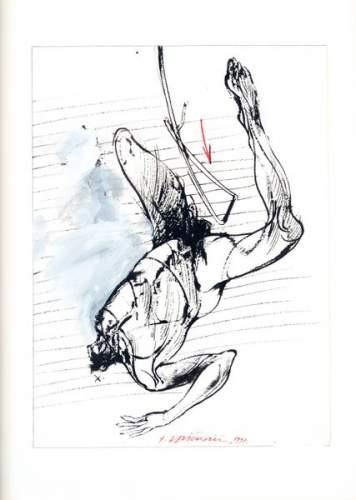 Vladimir Veličković: Chute