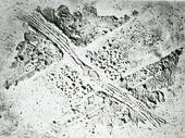 Balša Rajčević: Bele slike 