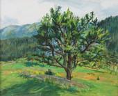 Anđelka Bojović: Trešnja