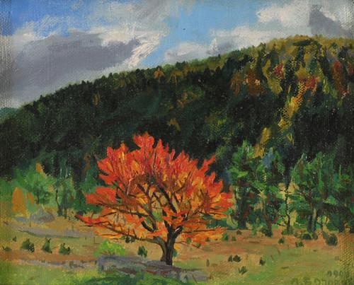 Anđelka Bojović: Crvena trešnja