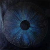 Milica Živadinović: Cosmic'Eye NGC 1160