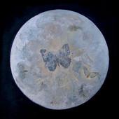 Milica Živadinović: Cosmic'Eye NGC 0555