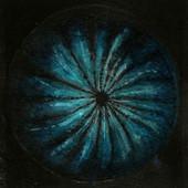 Milica Živadinović: Cosmic'Eye NGC 0154