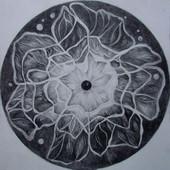 Milica Živadinović: Cosmic'Eye NGC 9303