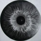 Milica Živadinović: Cosmic'Eye NGC 9302