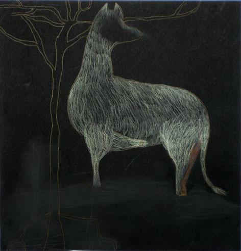 Ivana Ivković: U šumi