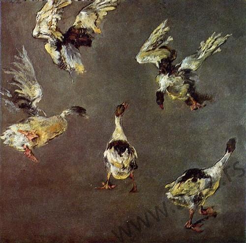 Nikola Mašić: Guske