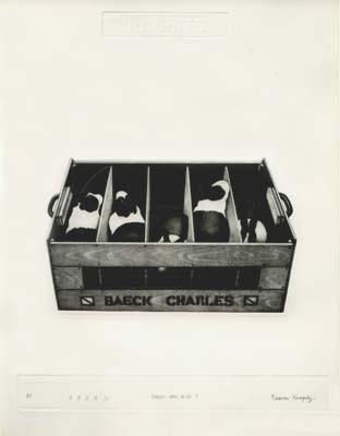 Radovan Kragulj: Rabbit Series