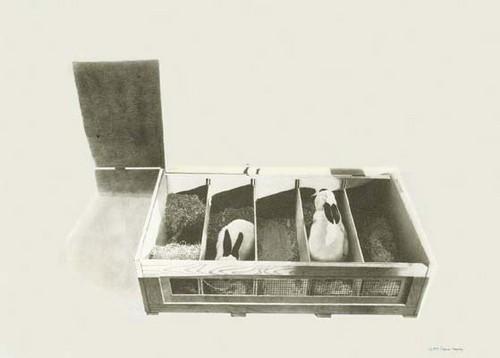 Radovan Kragulj: Rabbit Series