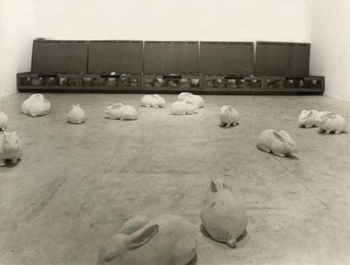 Radovan Kragulj: ICC Rabbits Instalation