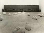 Radovan Kragulj: ICC Rabbits Instalation