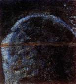 Biljana Vilimon (Willimon): Kroz crweno