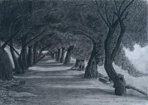 Ljiljana Gavrilović: Drvored