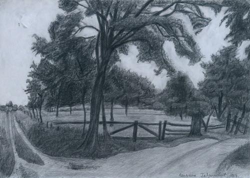 Ljiljana Gavrilović: Znak