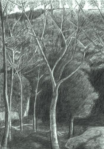 Ljiljana Gavrilović: Tama