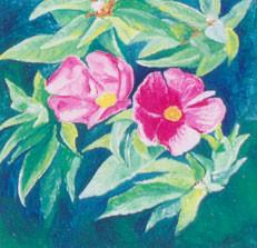 Ljilja Nikolić Janudaki (Liliana NY): Minijature