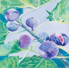 Ljilja Nikolić Janudaki (Liliana NY): Minijature