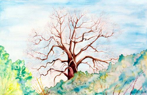 Ljilja Nikolić Janudaki (Liliana NY): Kritski momenti 9