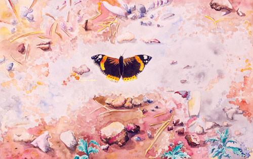 Ljilja Nikolić Janudaki (Liliana NY): Kritski momenti 16