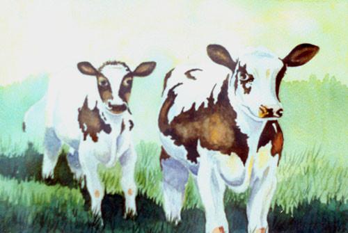 Ljilja Nikolić Janudaki (Liliana NY): Ravice