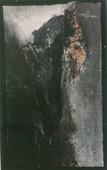 Uroš Janković: Prophet