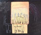 Mirjana Marinšek Nikolić: Diario de insomnio