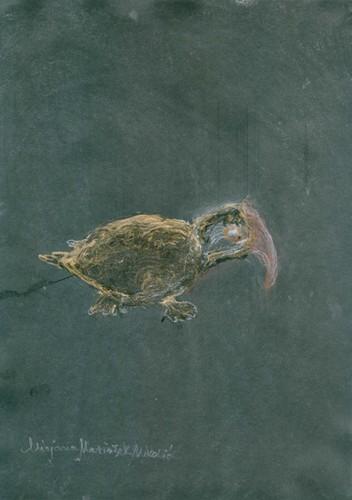 Mirjana Marinšek Nikolić: Nista preko mere II/2