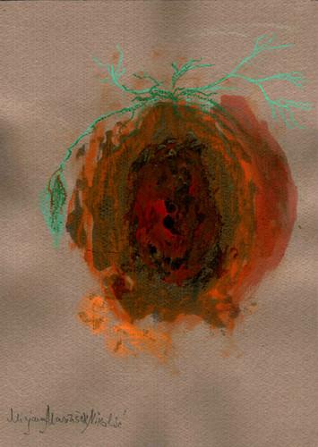 Mirjana Marinšek Nikolić: Senka se vidi tamo gde želi sunce 3