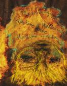 Mirjana Marinšek Nikolić: Lice