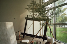 Gaëlle Leenhardt: To Appropriate