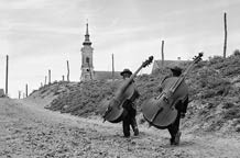 Belgrade Photo Month