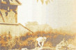 Miodrag Grbić