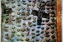 Vlado Rančić:  MYCROSTRUCTURE