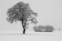 Fotografije Mihaila Simovića