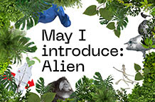 May I introduce: Alien
