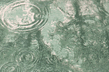 Otisci prirode