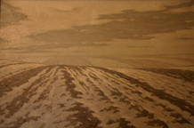 Oskar Somerfeld