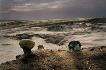 Thomas Wrede - Real Landscapes