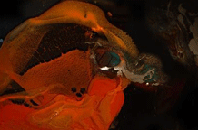 Marković & Pomorišac u Galeriji FKVSV