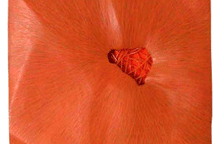 Objekti Jovane Stojanović