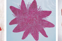 Personality & Look of the Bloom