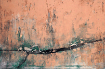 Zapisi sa periferije Lazara Markovića