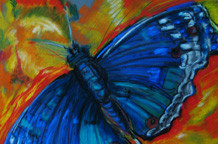 Leptir Ivanke Živković