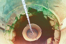 Mi smi (se) navikli, Noe Treister