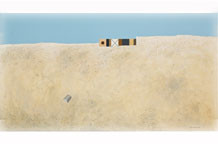 Kolekcionar kao kustos