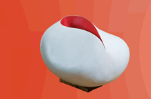 Izložba u Lexus centru