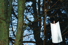 Urban Utopia diSTRUKTURA