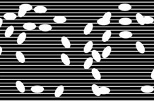 Pulsirajuća realnost, Stanojević & Gagić